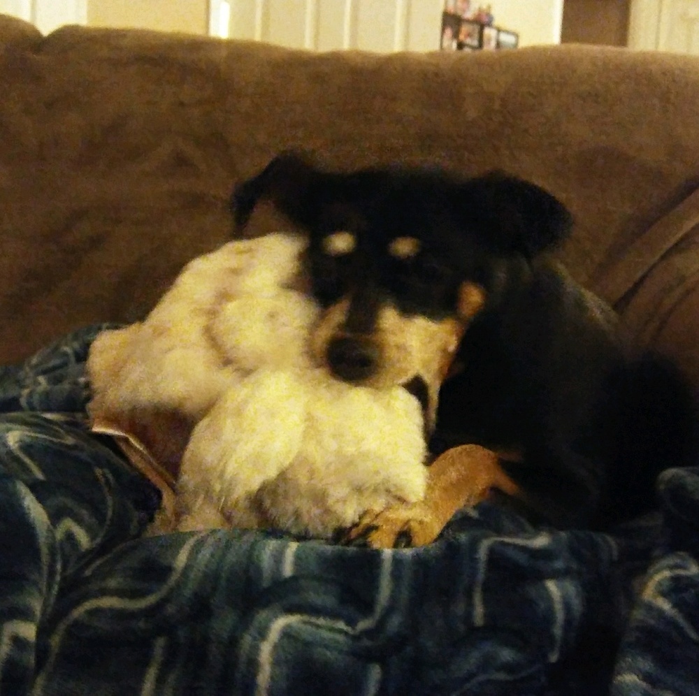 Meet your Posher, Kelsey